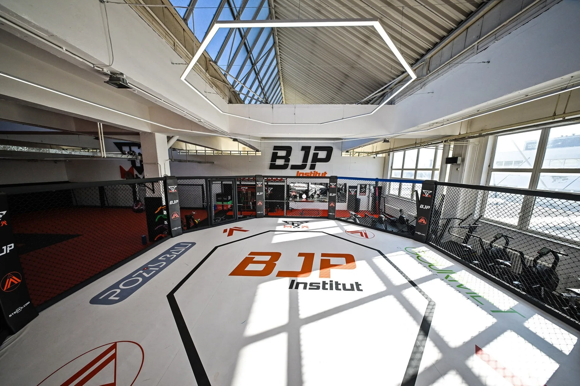 MMA klec, BJP Institut